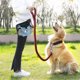 thumbnail image 4 of Bolsa portátil para comida al aire libre para mascotas, bolsa de golosinas para perros, bolsas portátiles para entrenamiento de perros, contenedor de comida para bocadillos para mascotas, bolsa de cin, 4 of 5