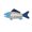 B, variant on Ocean Beach Themed Wall Decor,3D Nautical Fishbone Decorations for Home Office Beach House,Rustic Coastal Ocean Theme Coastal Bedroom Living Room Fish Wall Art
