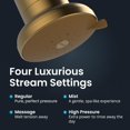 thumbnail image 3 of AquaTru Filtered Shower Head for Chlorine Removal, Hard Water Shower Filter for Skin and Hair, Brushed Gold ABS, 3 of 7