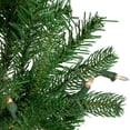 thumbnail image 5 of Northlight 4' Pre-Lit Sierra Noble Fir Artificial Christmas Tree, Clear Lights, 5 of 7
