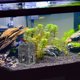 thumbnail image 1 of unbranded De Castillo De Resina Para Acuario Detallado Color Resistente, 1 of 5