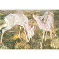 thumbnail image 1 of Deer In The Twilight-Marc - CANVAS OR FINE PRINT WALL ART, 1 of 1