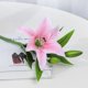 thumbnail image 4 of Flores artificiales Billuyoard 6 Piezas de lirio reutilizables lavables decorativas Rosa, 4 of 6
