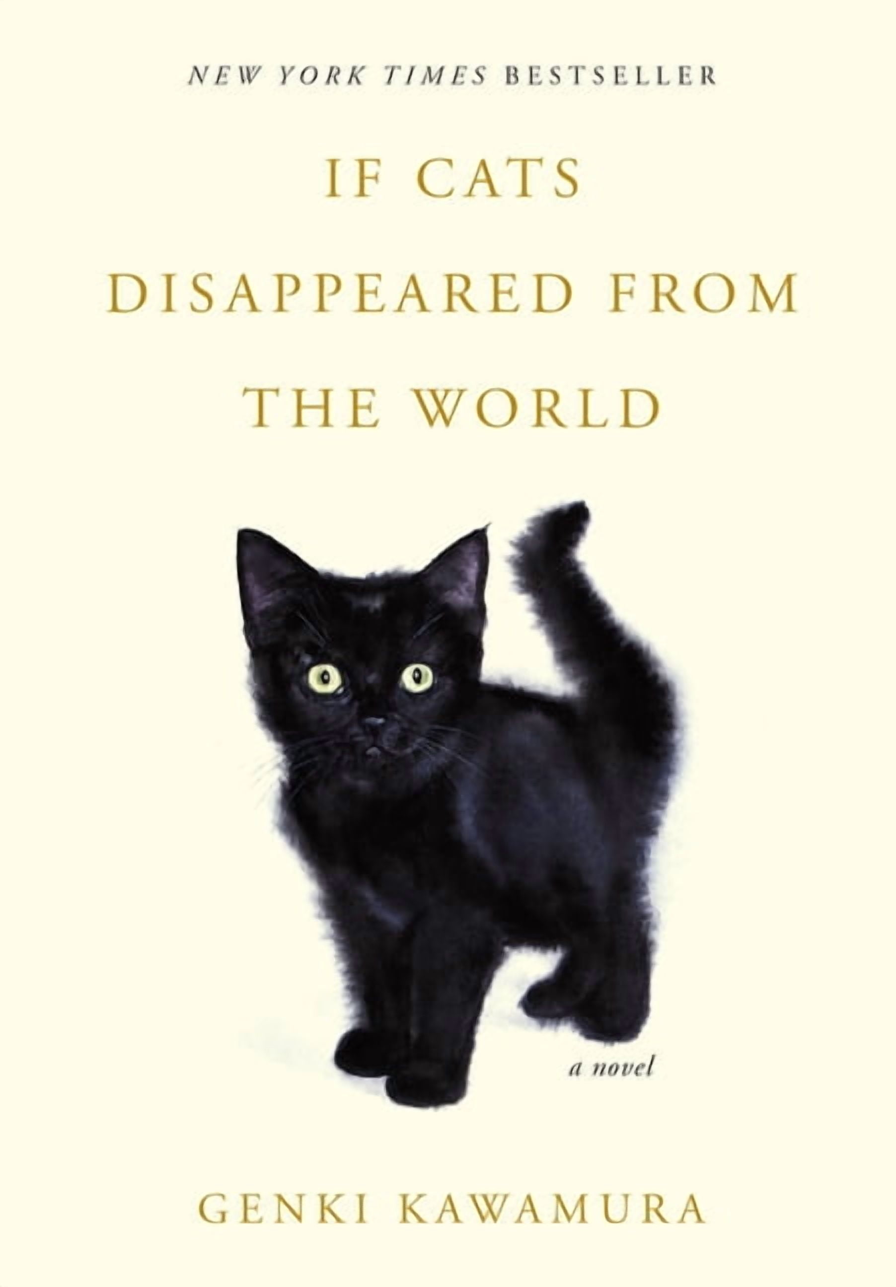 If Cats Disappeared from the World, (Paperback) - Walmart.com