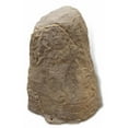 thumbnail image 1 of DekoRRa Products 107-SS Artificial Rock Enclosure - Sandstone, 1 of 1