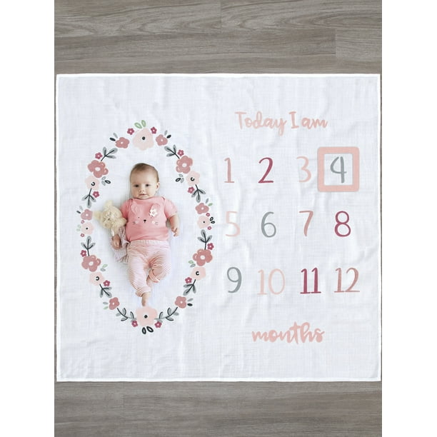 Gerber Baby Girl Milestone Blanket & Frame Set, 2Piece