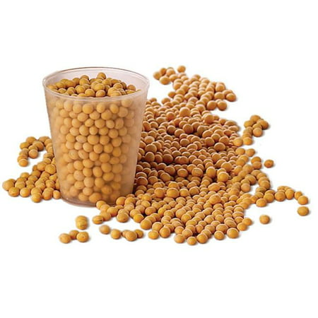 Soybeans For Milk - 2 lb Bag (Best Tasting Soy Milk)