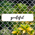 thumbnail image 2 of Grateful Inspirational Tin Sign - 16x4 Inch - Ideal for Kitchen, Dining, Man Cave Decor - Gratitude Signs, Rustic Decor, 2 of 4