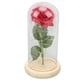 thumbnail image 4 of Cúpula de cristal de rosa, rosa en cúpula de cristal, rosa encantada, regalos románticos, regalo de rosa artificial, muy recomendable, 4 of 14