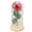 Green Leaf Safflower Red, variant on Riousery Rose in Glass Dome Lucky Beautiful Symbolism Romantic Enchanted Rose Gifts with LED Light for Valentine's Day Green Leaf Safflower Red (10.24 inches / 26 cm)