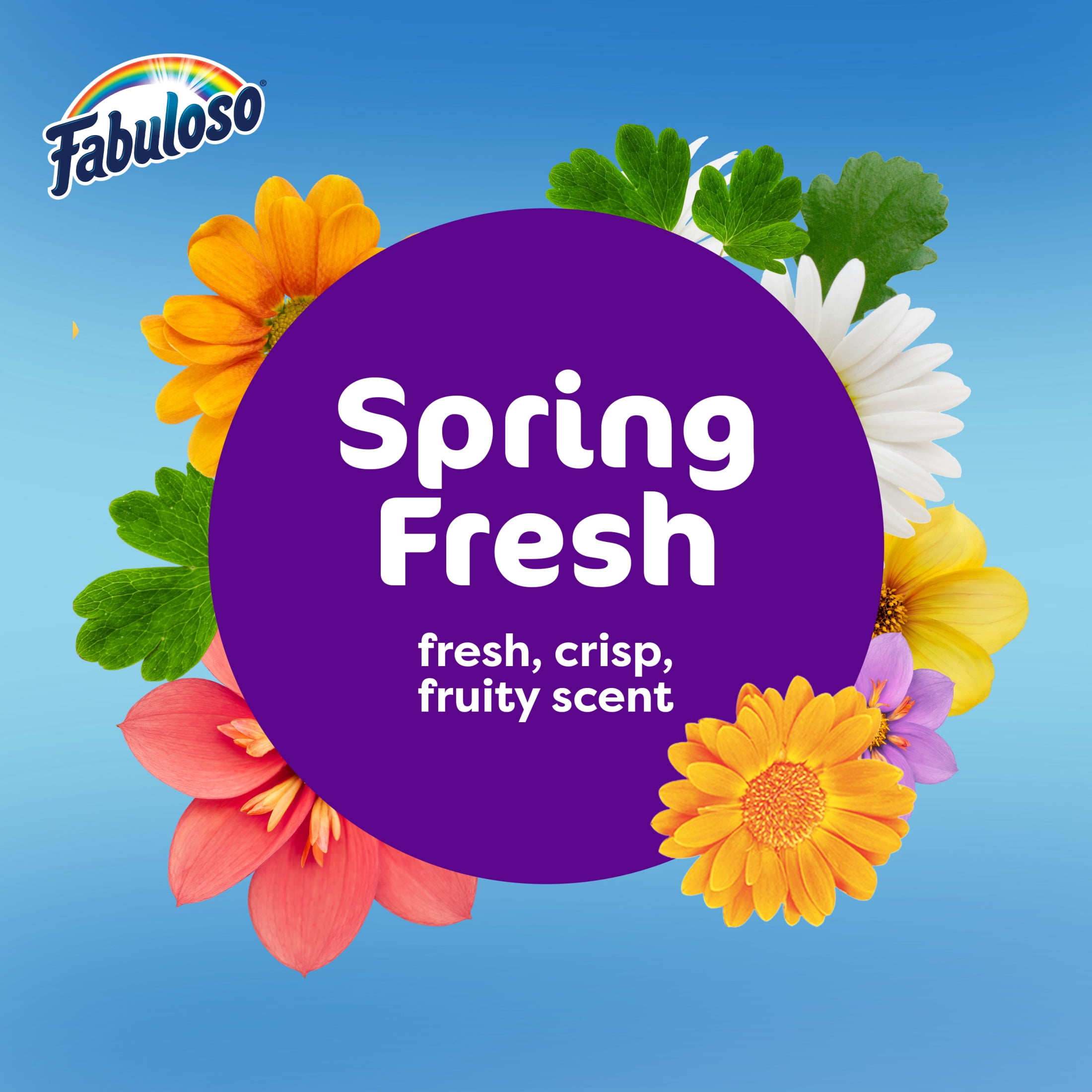 (6 pack) Fabuloso 2X Multi-Purpose Cleaner Bleach Alternative, Spring Fresh Scent, 56 fl oz