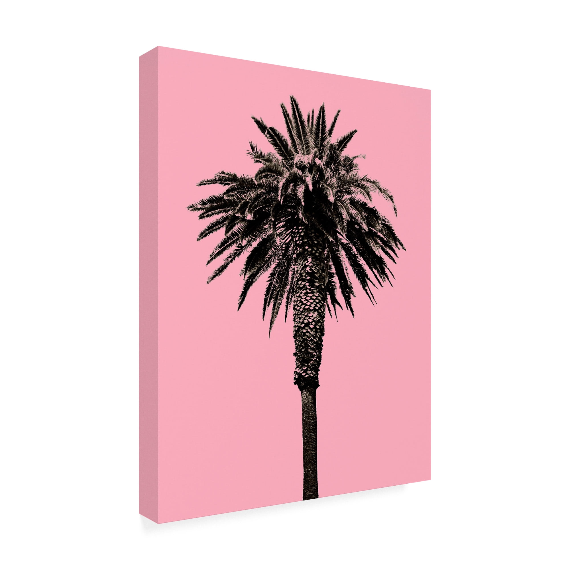Trademark Fine Art 'Palm Tree 1996 (Pink)' Canvas Art by Erik Asl