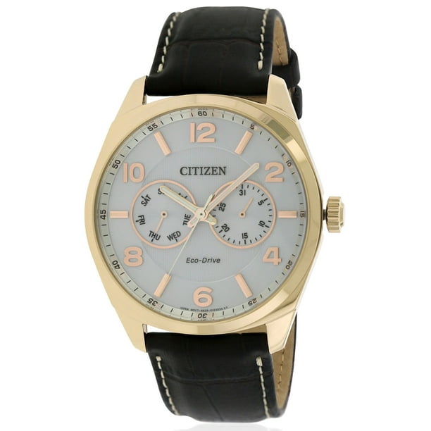 CITIZEN Citizen Men's EcoDrive GoldTone Leather Watch, AO902301A