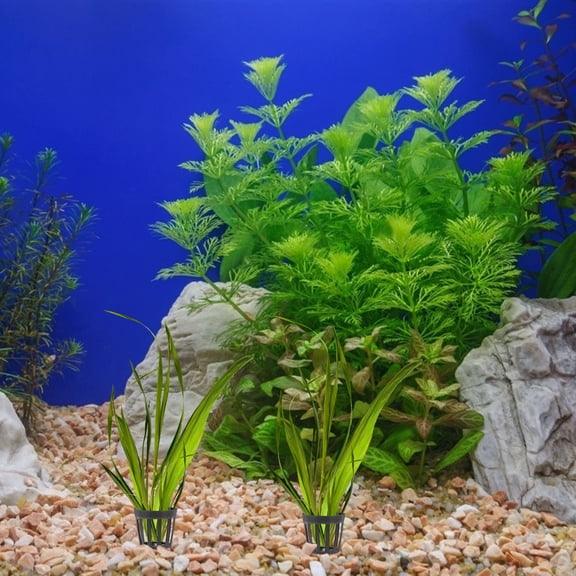 50pcs Plastic Aquatic Plant Nursery Baskets for Fish Tank Pond Reusable Water Plant Cups Aquarium Supplies