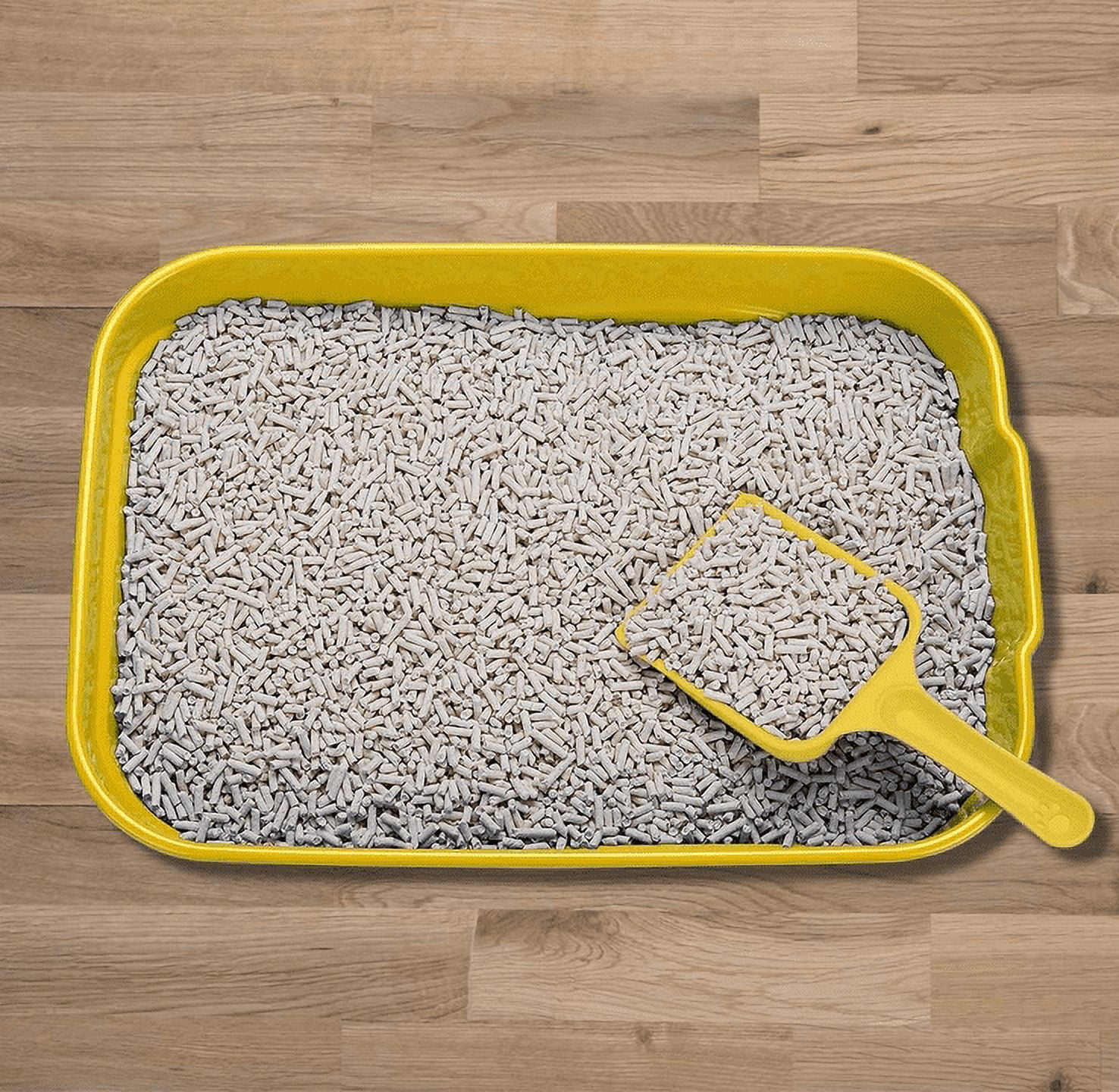 GreenJoy Kitty Litter Box Starter Kit - Without Lid Cat Litter Pan, Mat, Scoop and Bowl for Kitten