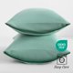thumbnail image 3 of Ntbay King Juego De 2 Fundas De Almohada De Microfibra Cepillada De 20 X 36 Pulgadas, Fundas De Almohada Suaves, Resistentes A Las Arrugas, Resistentes A Las Manchas, Color Verde Menta Con Cierre De S, 3 of 5