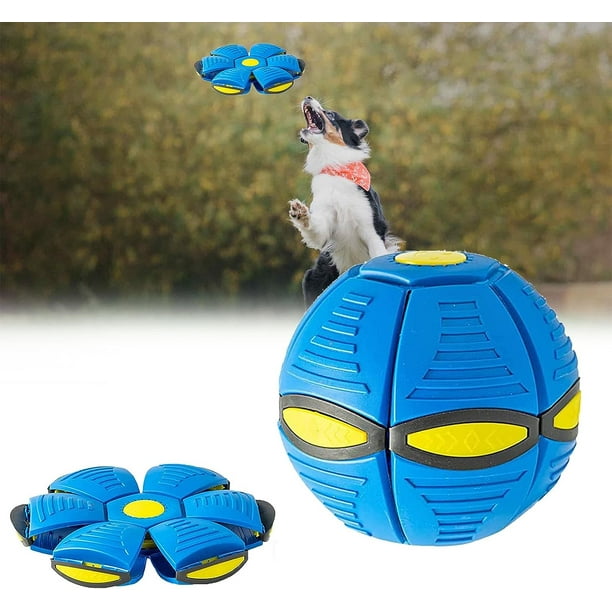 Balle Soucoupe Volante pour Chien, Balle pour Chien de Soucoupe Volante,  Magic Frisbee Ball, Balle de Deformation Frisbee Chien, Pet Toy Flying  Saucer Ball, Frisbee Ball Dog Toy, Balle Chien