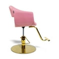 Salon Styling Chair MILLA Pink Seat Gold Base, Beauty Salon Hair Studio Professional