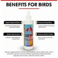 thumbnail image 4 of Morning Bird Calcium Plus Liquid for Birds 8 Fl Oz - Liquid Calcium Formula with Magnesium and Vitamin D3 Calcium Supplement for All Birds, 4 of 7