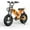 16" Orange, variant on Spacewalk 16" Fat Tire Electric Bike – 750W Motor, 21.7MPH, 48V 15Ah Removable Battery – Compact Ebike for Riders 4'10" to 5'5" & Teens – 4 Shock Absorbers, Smooth Ride