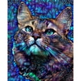 thumbnail image 1 of Cuadros Decorativos Kit de pintura de diamante de taladro redondo completo 5D Decoración de arte de gato azul para adultos JShteea Nuevos Originales, 1 of 9