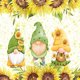 thumbnail image 1 of Kit Del Gnomos Primavera Con DIY 5D 30x30cm, 1 of 9