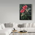 thumbnail image 3 of Trademark Fine Art 'Hummingbird Duet' Canvas Art by Carol J Rupp, 3 of 3