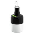 thumbnail image 1 of Eyfqtcs Bombilla Colgante Led Portátil Para Acampar Con Gancho Luz De Emergencia Recargable Usb, 1 of 9