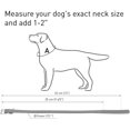 thumbnail image 2 of Rolled Leather Dog Collar for Small Pets - Durable Steel D-Ring and Metal Buckle - Bright, Comfortable Accessory, 2 of 3