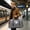 Gray-GY, variant on Overnight Gym Bag, Travel Duffle Bag with Separate Wet Dry Compartments, Expandable Shoe Pocket, Nylon Sports Crossbody Bag for Business Trip
