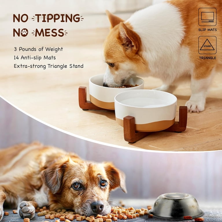 Lareina Ceramic Dog Bowls, Cups Food and Water, 30oz,