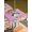 Pink, variant on Pink Easter Outdoor Tablecloth - 60x60 Inch Square Dining Table Cover, Easter Bunny Eggs Spring Cartoon Farmhouse Wood Grain Waterproof Outdoor Table Cloth with Umbrella Hole & Zipper for Patio