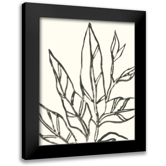 Vess, June Erica 12x14 Black Modern Framed Museum Art Print Titled - Tropical Contour II