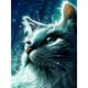 thumbnail image 1 of Cuadros Decorativos Kits de pintura de diamantes 5D Cat Full Round Rhinestone DIY Wall Art (B4419) DQrwqpou Nuevos Originales, 1 of 5