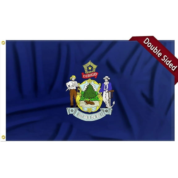 FLAGWIN Maine Flag 3x5 FT - 3 Ply Double Sided Polyester Maine State Flag with Brass Grommets - Vivid Color and Fade Proof State of Maine Flag 3x5 Outdoor