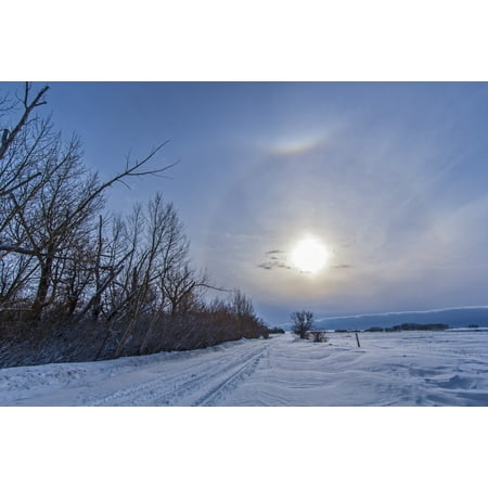January 3 2014 - A solar halo around the Sun at the end of a snowy country road in Alberta Canada A colored upper tangent arc is visible off the faint halo Poster (Best Over The Counter Uppers)