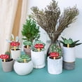 thumbnail image 6 of 15 Pcs Wood Funny Plant Labels 15 Styles 2 Colors Wooden Funny Garden Signs T-Type Plants Tags for Indoor Outdoor Potted Seed Herbs Flowers Patio 7x5cm(2.75x1.96inch), 6 of 6