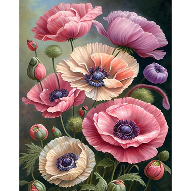 Kit de pintura por números sobre lienzo, arte al óleo artesanal, decoración de imagen de flor de Papaver, 40x50cm