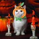 thumbnail image 5 of Methold Disfraz de calabaza de Halloween para gatos Disfraz de calabaza de Halloween para gatos seguro y cómodo Ropa para mascotas, 5 of 6