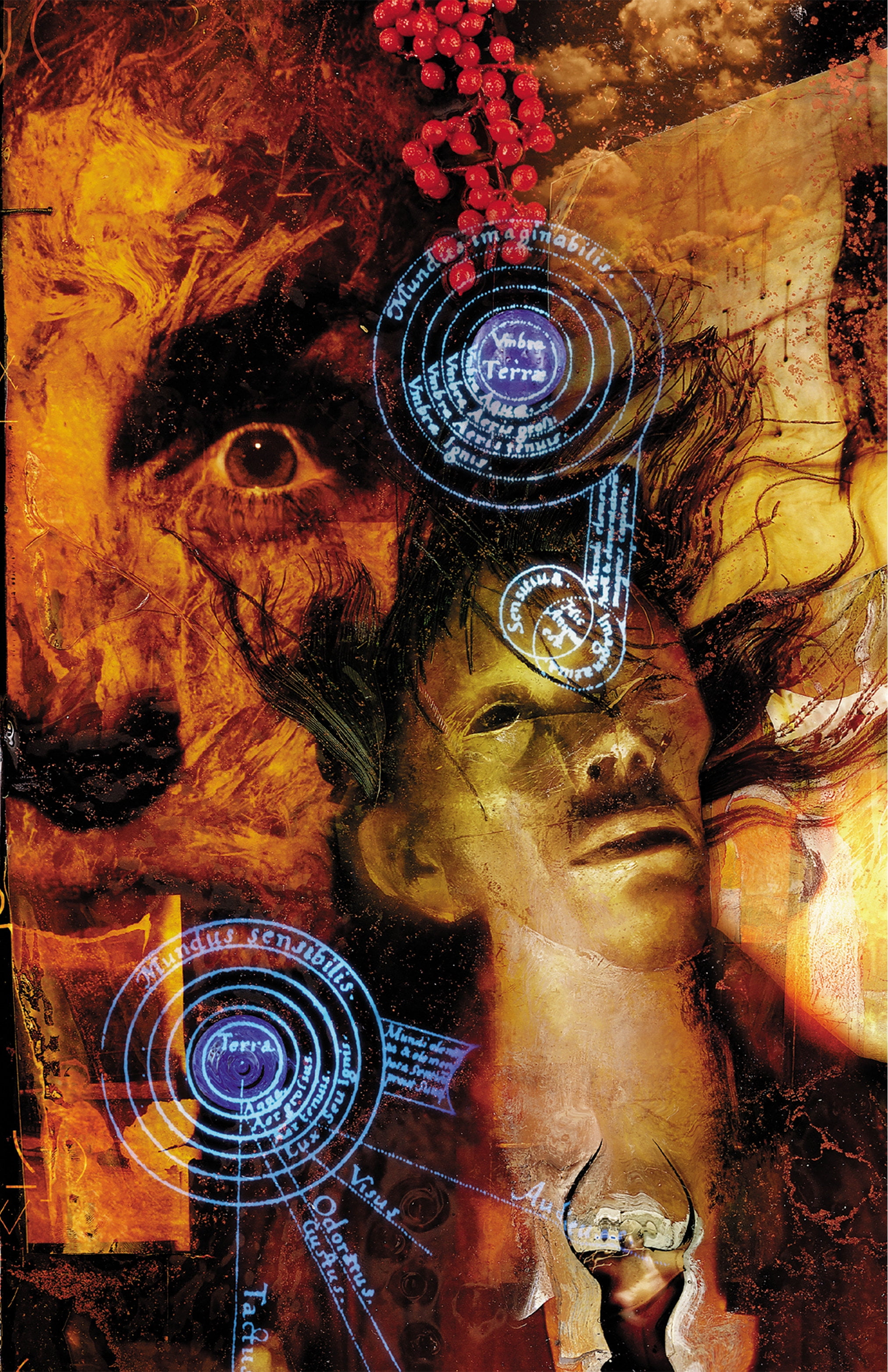 the sandman 30th anniversary edition box set