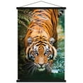 thumbnail image 1 of Tigre - Eau, 1 of 4