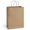 Brown, variant on Gift Bags 10x5x13 25Pcs Kraft Paper Shopping Bags with Handles, for Gifts, Business, Merchandise, Retail, Birthday Party Favor, Navy Blue Recycled Paper Sacks
