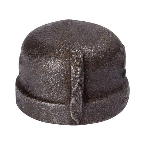 BK Products Southland 2-1/2 in. FPT Black Malleable Iron Cap