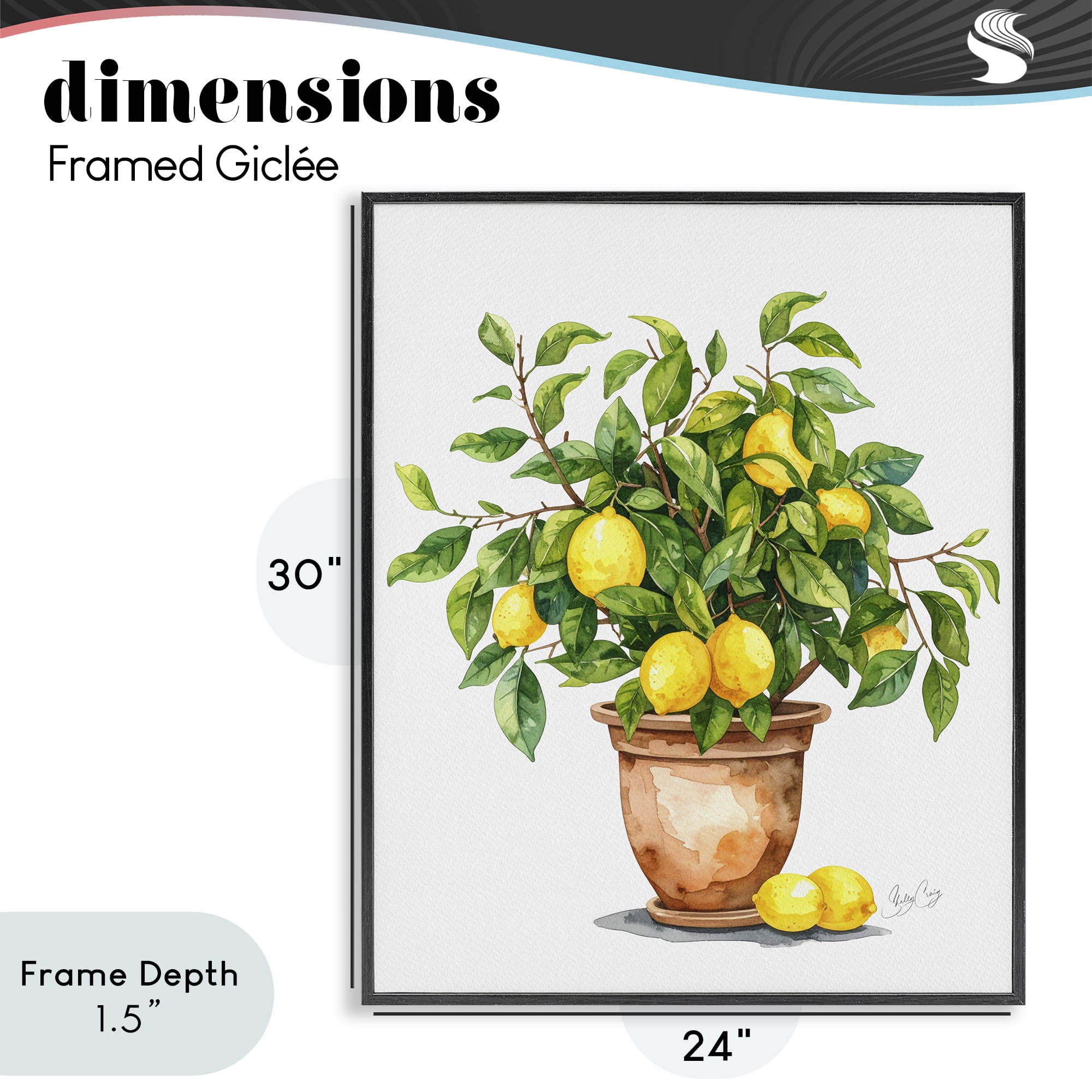 Stupell Industries Potted Lemon Tree Black Framed Giclee Art, design by Shelly Craig