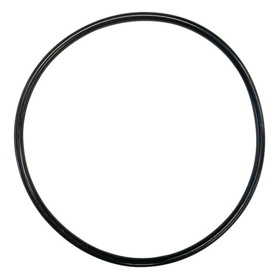 Hayward (SPX0714L) Vari Flo XL Valve Cover Replacement O-Ring || O-336