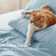 thumbnail image 4 of Queen Sheet Set - 4 Pieces Soft Queen Size Sheets - Breathable & Cooling - Hotel Luxury - Easy Care Polyester Microfiber Bedding for Women, Men, Dark Grey, 4 of 5