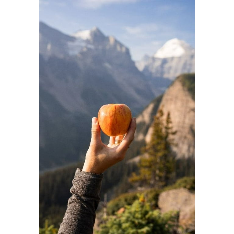 Fresh Sunchaser Apples 3lb Bag from Washington - Walmart.com