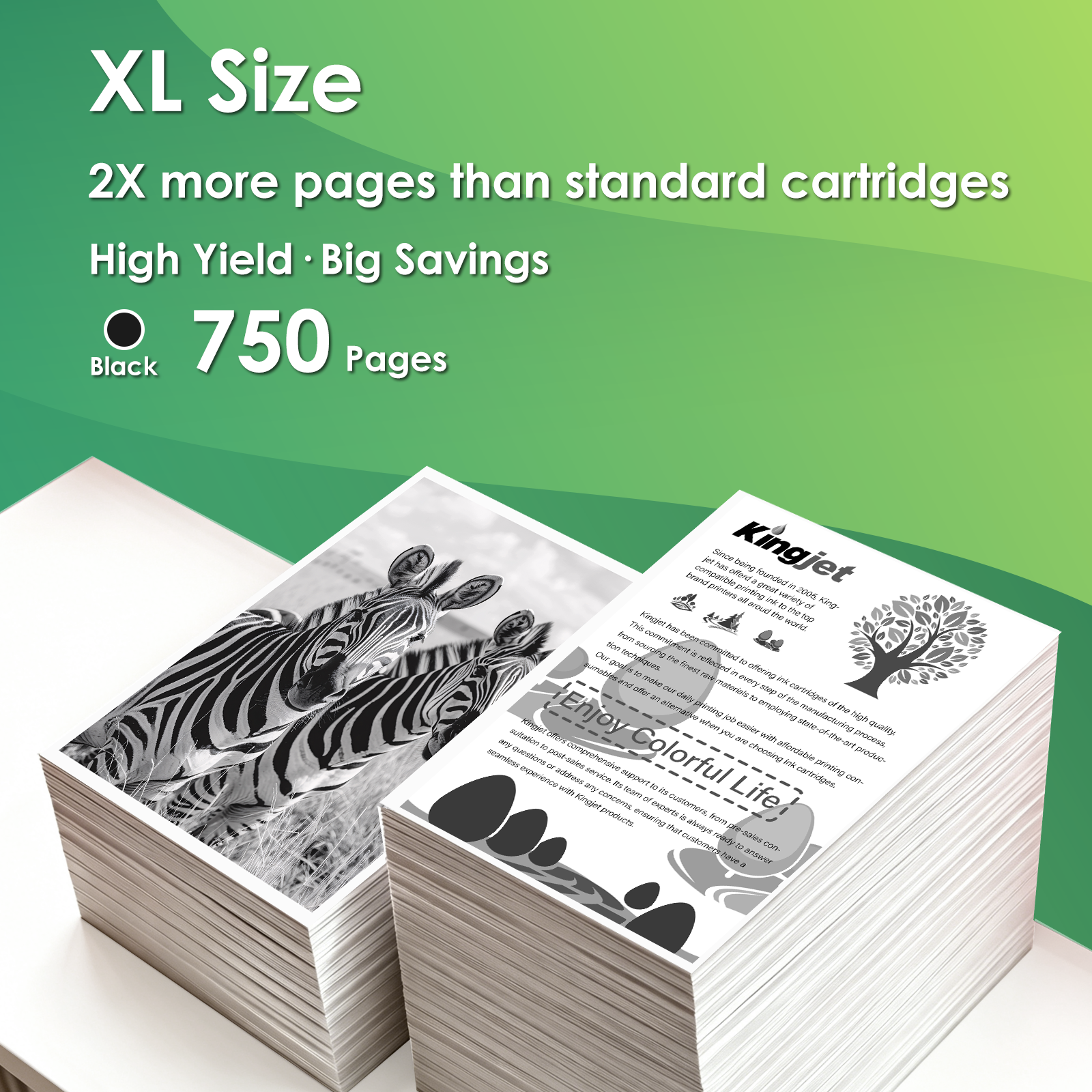 Kingjet HP 61XL Black Ink Cartridge 2-Pack photo 3