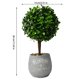 thumbnail image 4 of Maceta Redonda De Imitación Vegetal Para El Hogar, Mesa De Interior, Escritorio, Decoración De Salón, 4 of 5