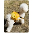 thumbnail image 4 of Mochila con arnés para perros, bonita mochila para perros pequeños y medianos, sin tirones, bolsa de malla con anilla en D, pollito, 4 of 5
